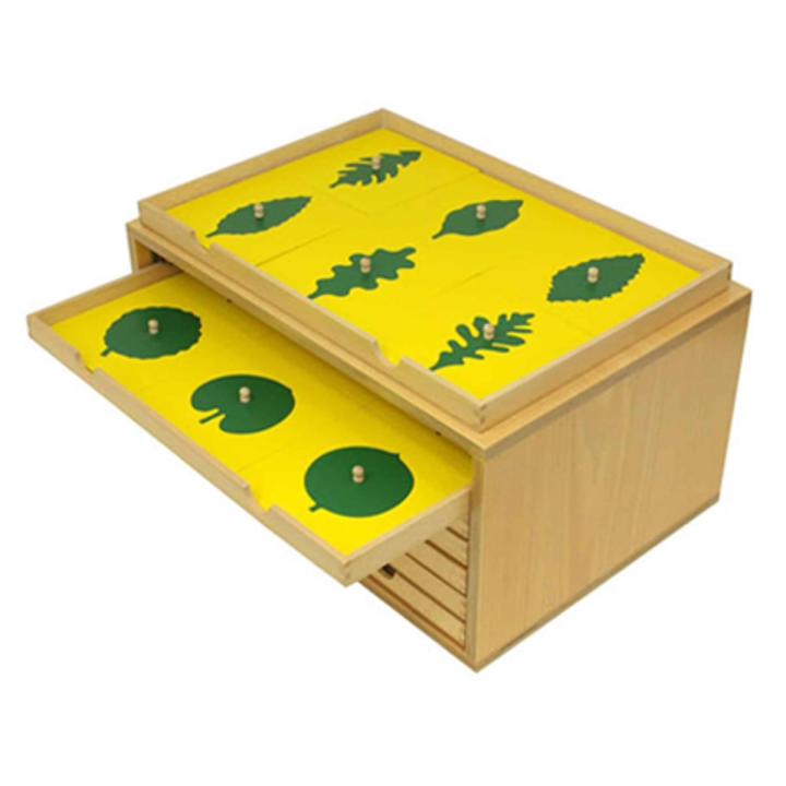 Botany Leaf Cabinet
with 18 Insets