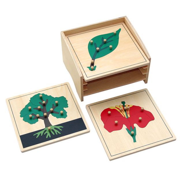 Botany Puzzle cabinet with 3
Puzzles(tree, flower, leaf)