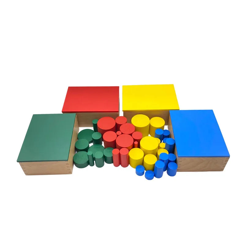 Montessori Sensorial | Knobless Cylinders Beechwood
