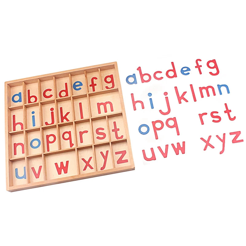 Montessori Wooden Lower Case Moveable Alphabet With Box