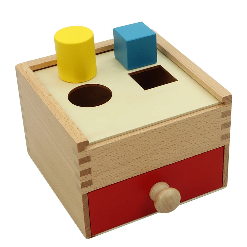 Montessori Multiple Shapes Blocks With Box