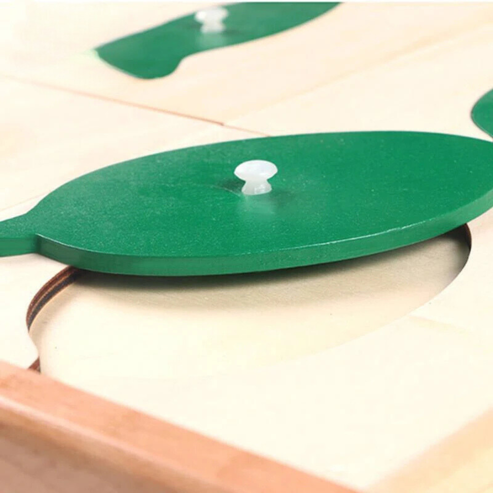 Montessori Botany Leaf Cabinet With 18 Insets