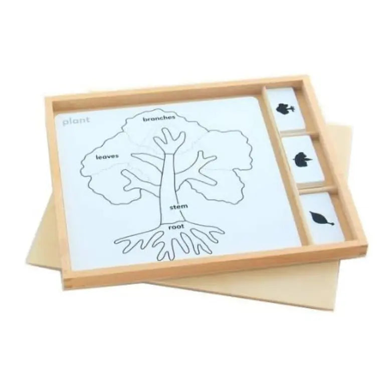 Botany Puzzle
Activity Set
