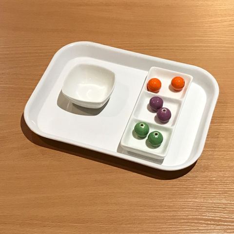 Sorting Activity
