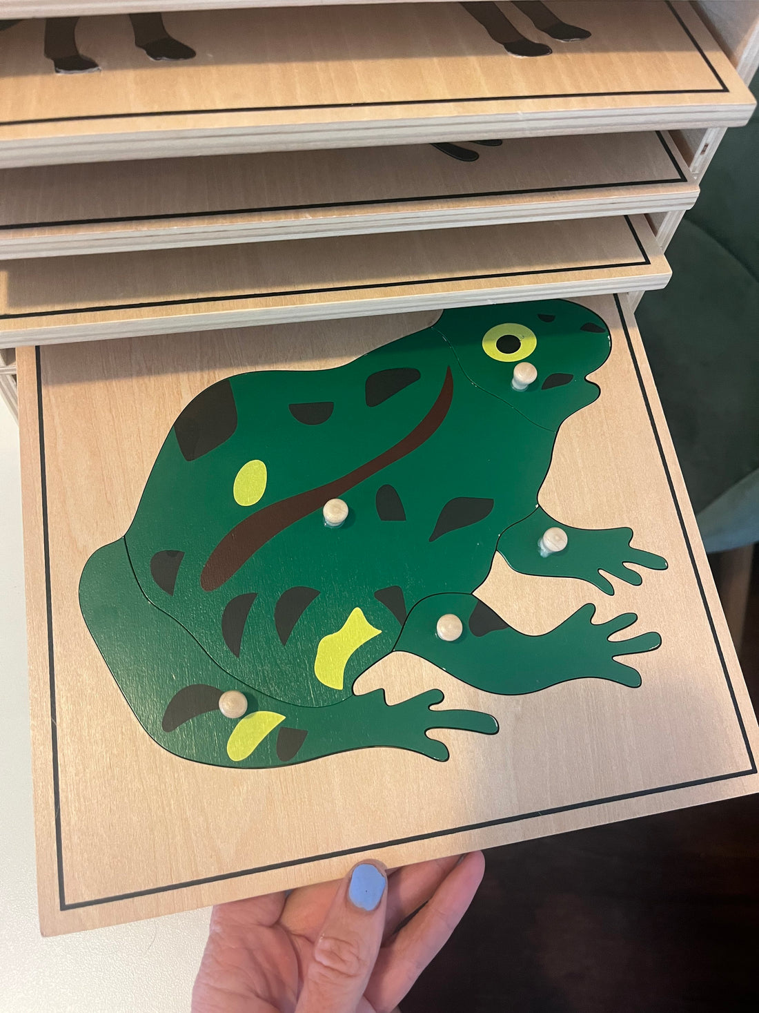Wooden Picture (Frog)
