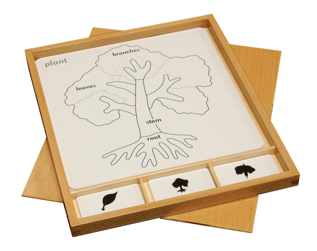 Botany Puzzle
Activity Set