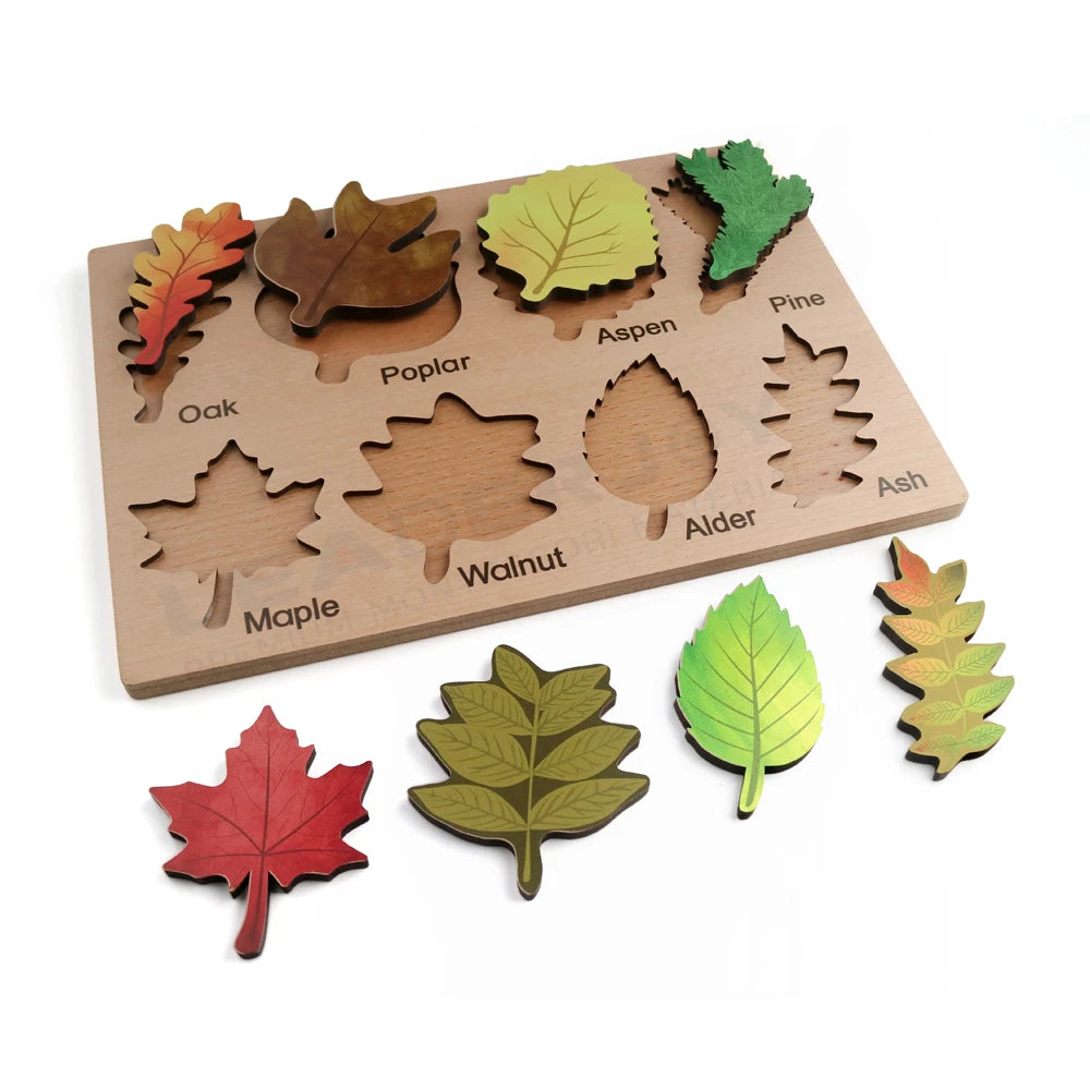 Montessori Wooden Leaves Puzzle