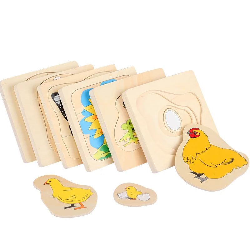 Montessori Wooden Development of Frog