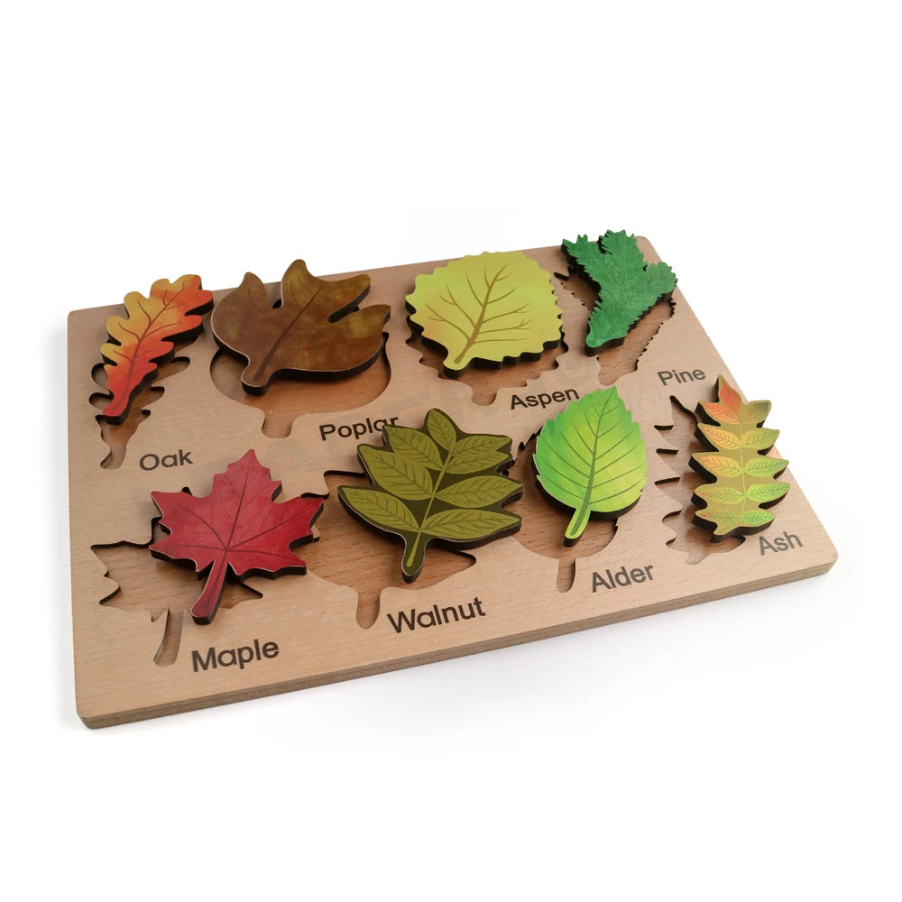 Montessori Wooden Leaves Puzzle