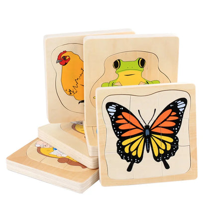 Montessori Wooden Development of Frog