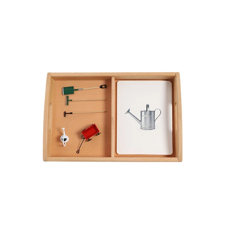 Instruments Tools and Cards with Tray