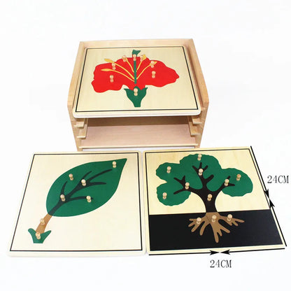 Montessori Botany Puzzle Cabinet with 3 Puzzles Included