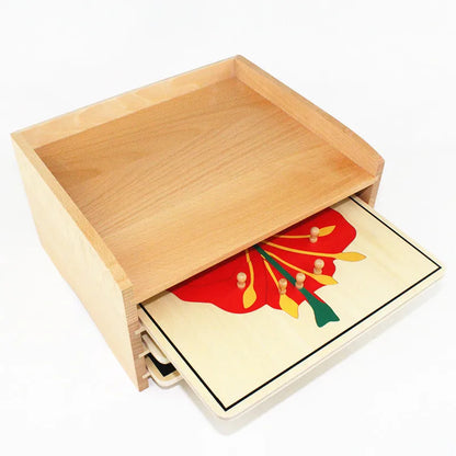 Montessori Botany Puzzle Cabinet with 3 Puzzles Included