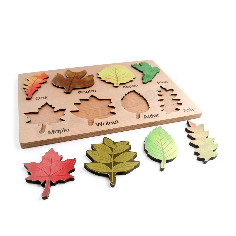 Montessori Wooden Leaves Puzzle