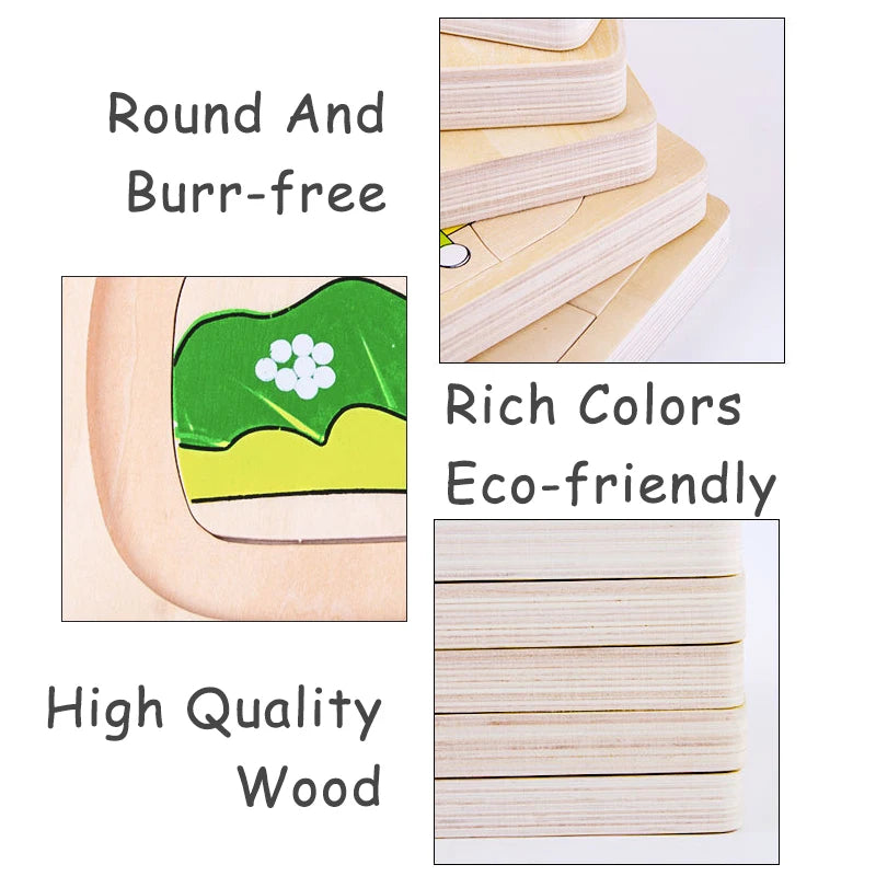 Montessori Wooden Development of Frog