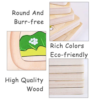 Montessori Wooden Development of Frog