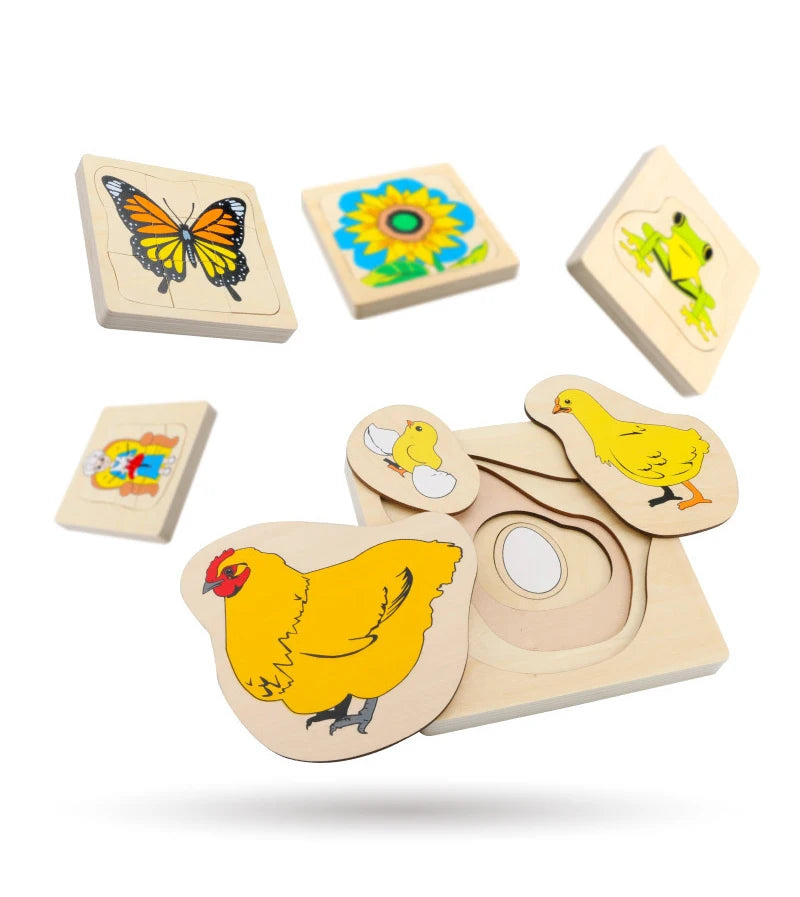 Montessori Wooden Development of Frog