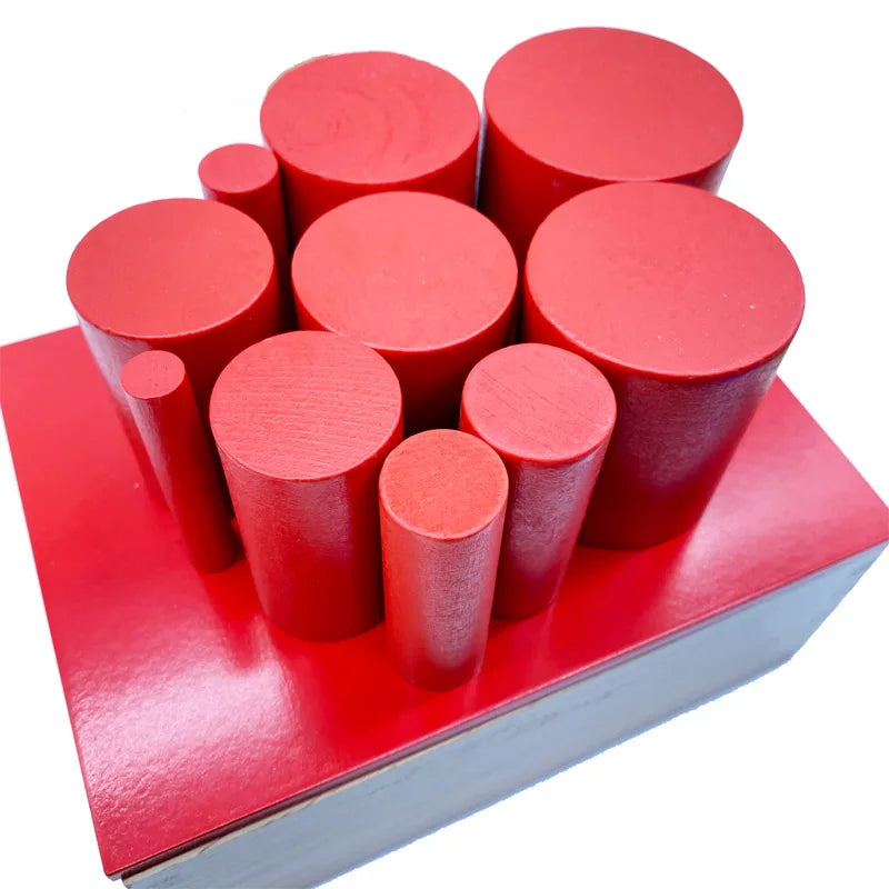 Montessori Sensorial | Knobless Cylinders Beechwood