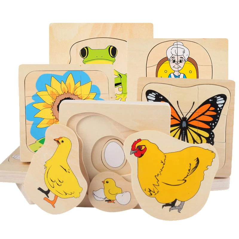 Montessori Wooden Development Of Chicken