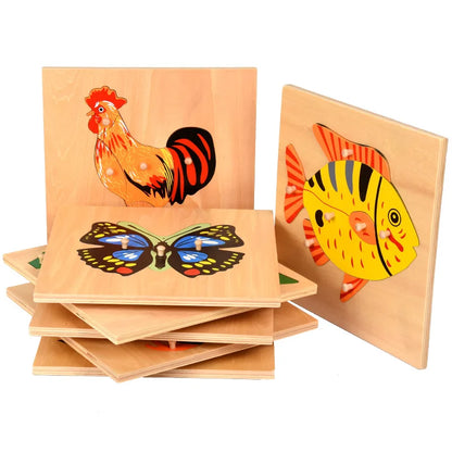 Montessori Wooden Seed Puzzle