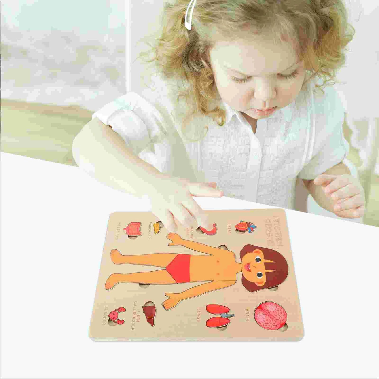 Montessori Wooden Human Body Internal Organs (Girl)