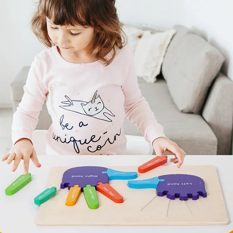 Montessori Wooden Left and Right Hands