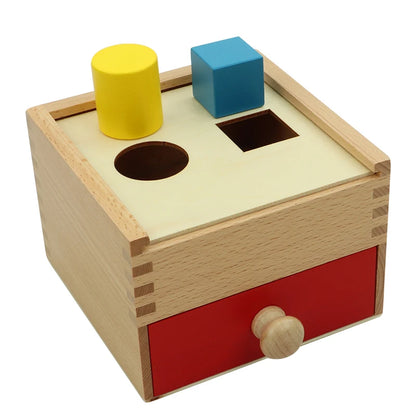 Montessori Multiple Shapes Blocks With Box