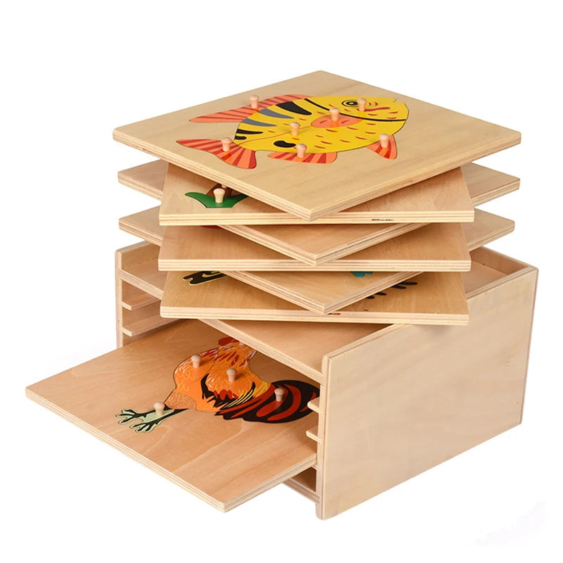 Montessori Wooden Seed Puzzle