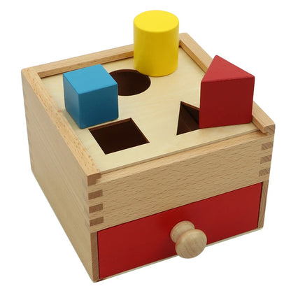 Montessori Multiple Shapes Blocks With Box
