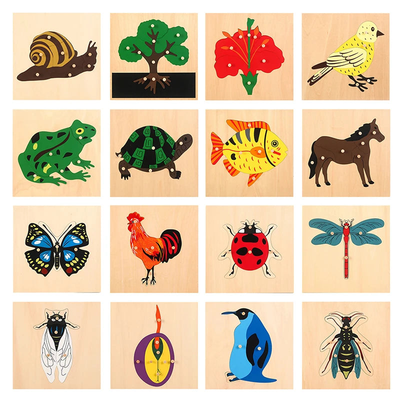 Montessori Wooden Fly Puzzle