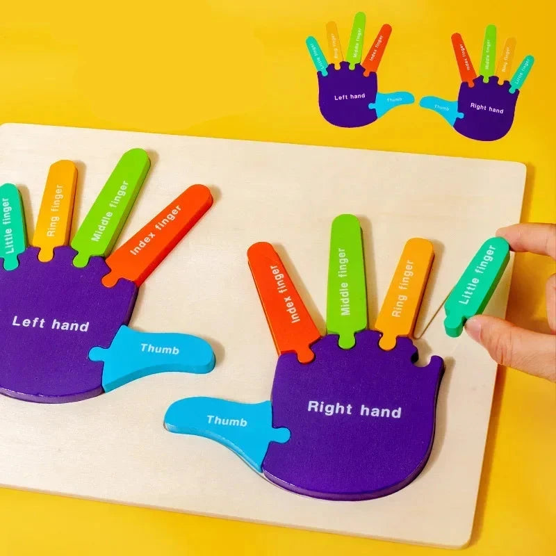 Montessori Wooden Left and Right Hands