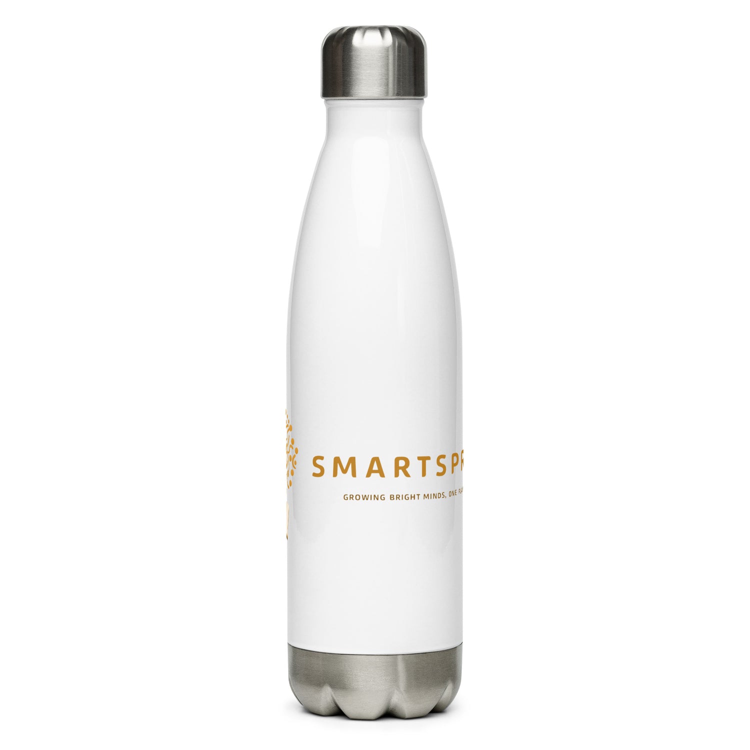 Stainless steel water bottle