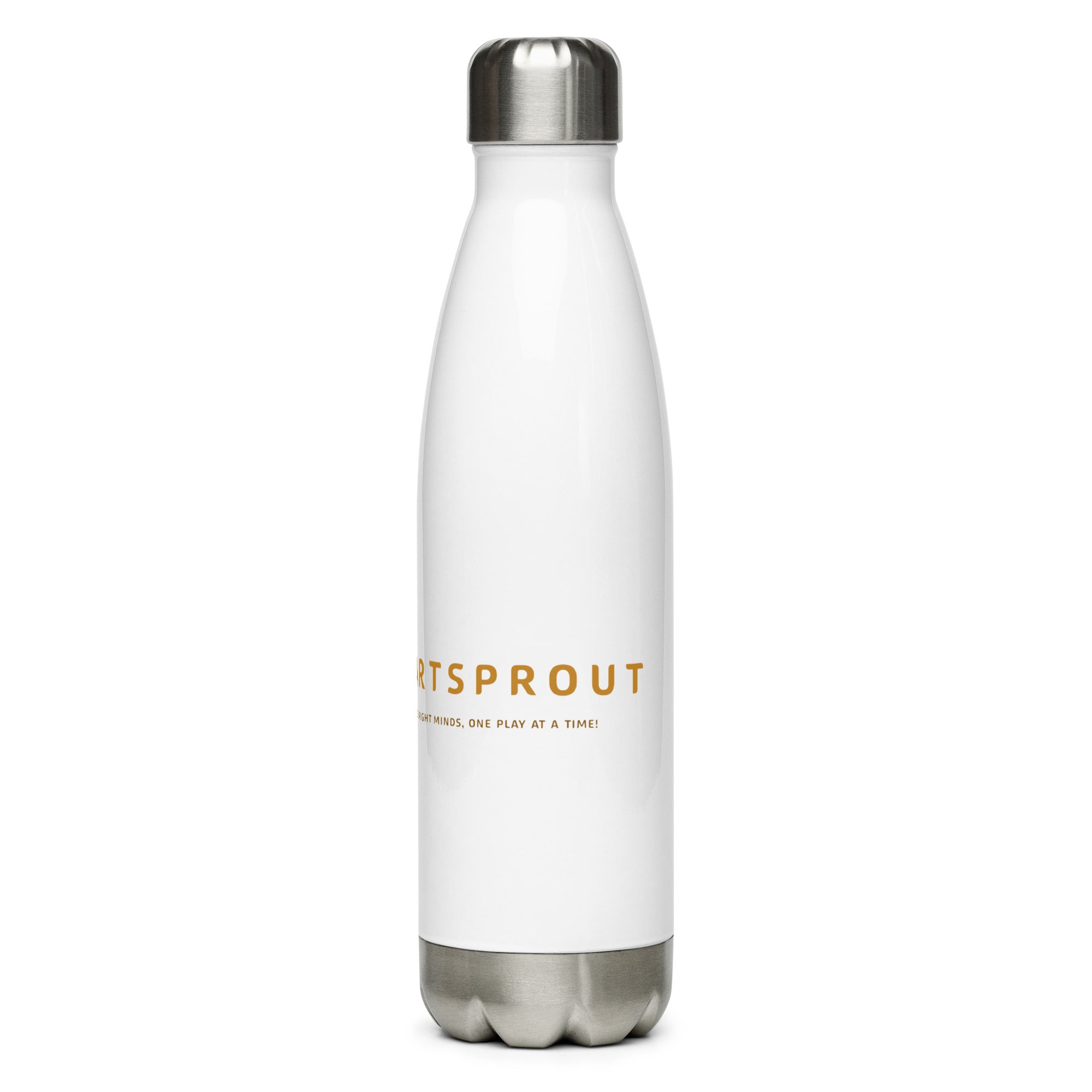 Stainless steel water bottle