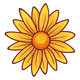 decorative star